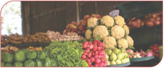 Vegetable-Shop